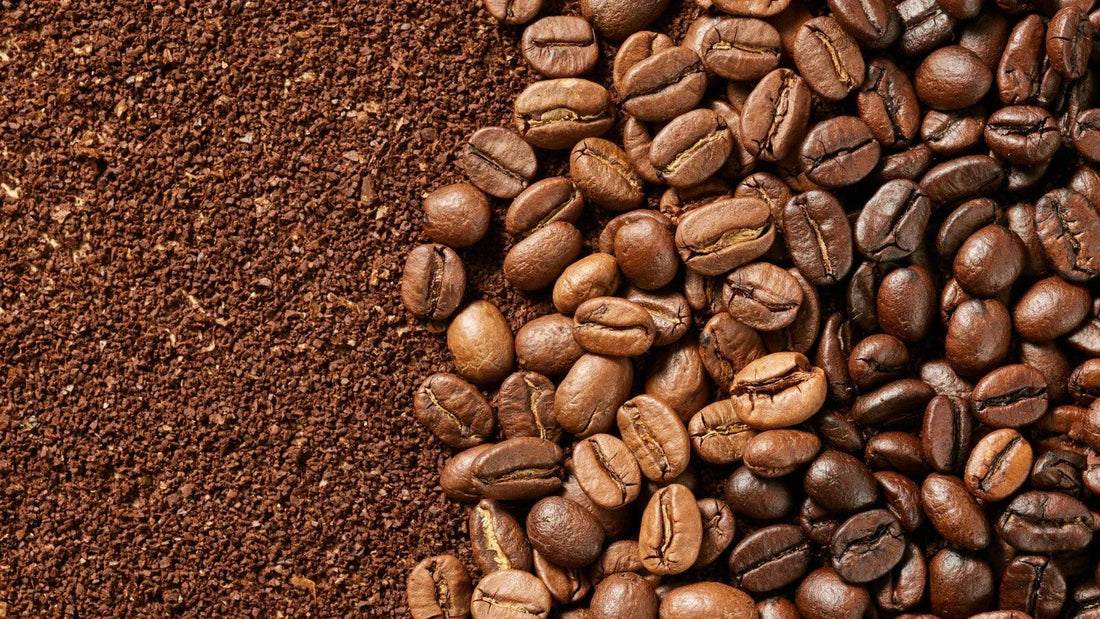 Flavor Differences and Pairing Tips for Different Coffee Beans - CHULUX